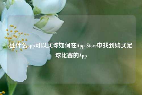 还什么app可以买球如何在App Store中找到购买足球比赛的App