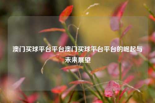 澳门买球平台平台澳门买球平台平台的崛起与未来展望