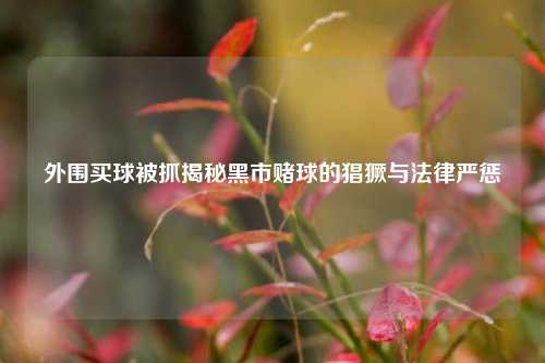 外围买球被抓揭秘黑市赌球的猖獗与法律严惩