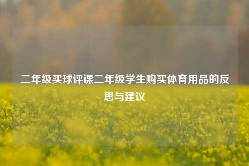 二年级买球评课二年级学生购买体育用品的反思与建议