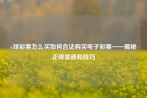 e球彩票怎么买如何合法购买电子彩票——揭秘正规渠道和技巧