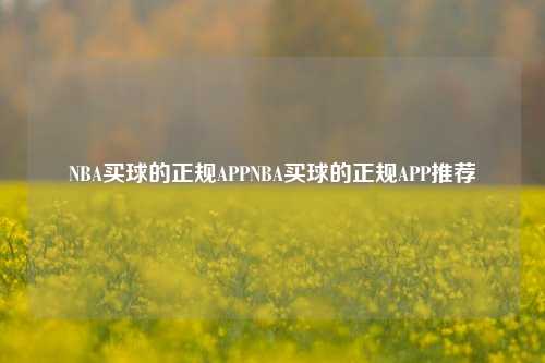 NBA买球的正规APPNBA买球的正规APP推荐