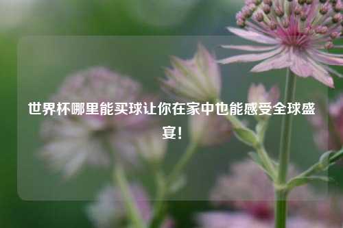 世界杯哪里能买球让你在家中也能感受全球盛宴！