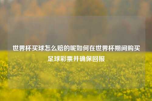 世界杯买球怎么赔的呢如何在世界杯期间购买足球彩票并确保回报