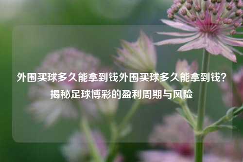 外围买球多久能拿到钱外围买球多久能拿到钱？揭秘足球博彩的盈利周期与风险