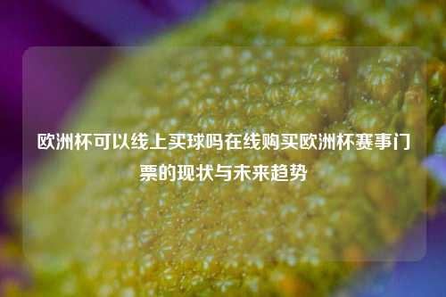 欧洲杯可以线上买球吗在线购买欧洲杯赛事门票的现状与未来趋势