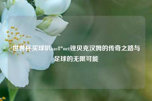 世界杯买球叭aac8*net锉贝克汉姆的传奇之路与足球的无限可能