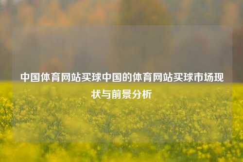 中国体育网站买球中国的体育网站买球市场现状与前景分析